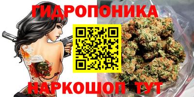 дмт Севастополь