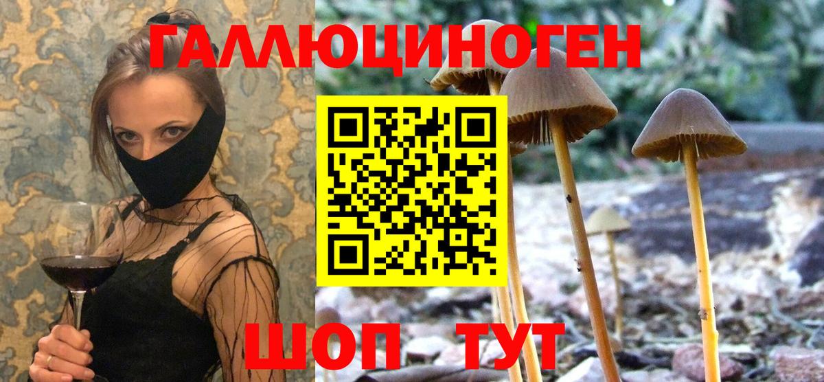 Похвистнево  Галлюциногенные грибы Psilocybe  дарнет шоп  Вход с VPN 